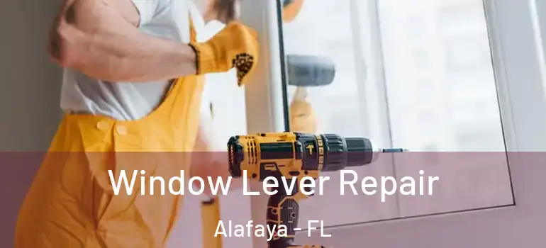  Window Lever Repair Alafaya - FL