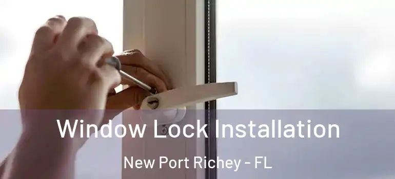  Window Lock Installation New Port Richey - FL
