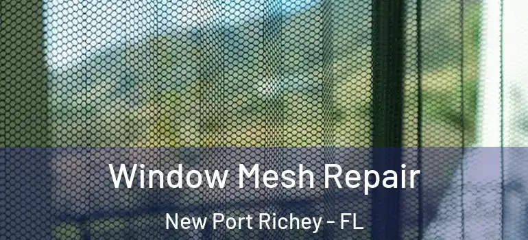  Window Mesh Repair New Port Richey - FL