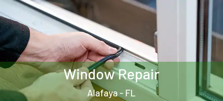 Window Repair Alafaya - FL