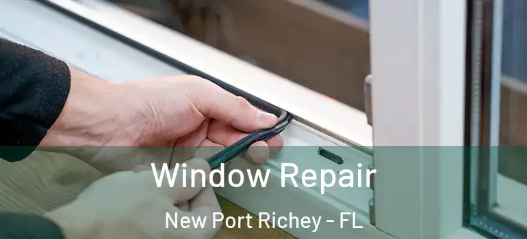  Window Repair New Port Richey - FL