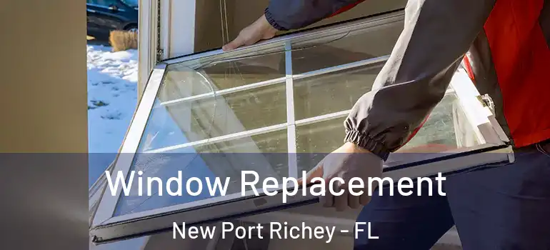  Window Replacement New Port Richey - FL