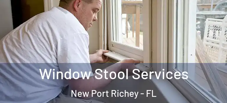  Window Stool Services New Port Richey - FL
