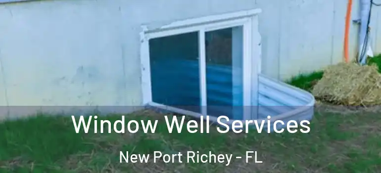  Window Well Services New Port Richey - FL